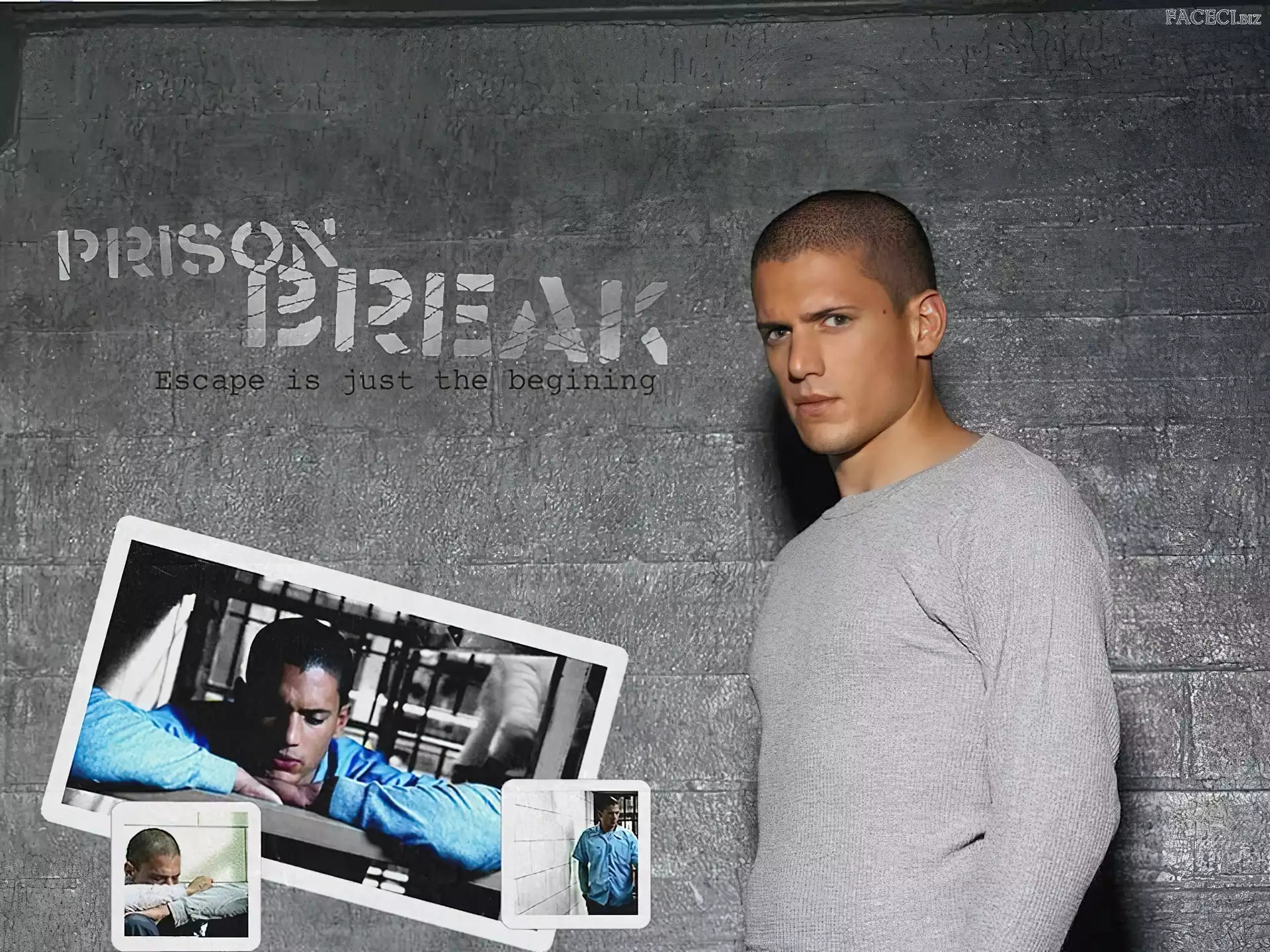 Wentworth Miller, szara bluzka